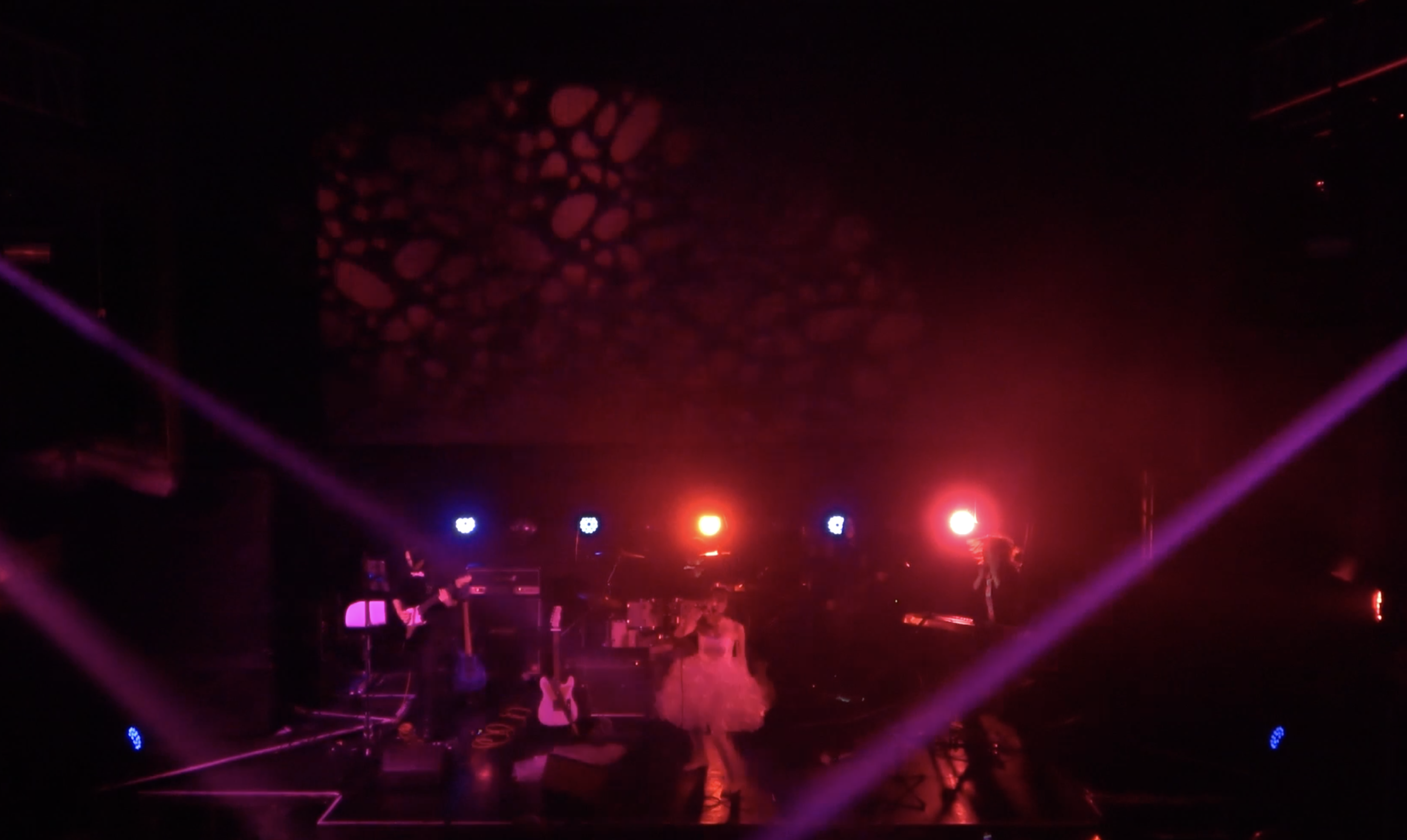 音楽ライブ・コンサート